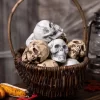 12 Piece Bag Of Skulls Halloween Decoration