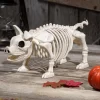 14.75-Inch Pig Skeleton Decoration