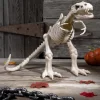 16" T-Rex Skeleton