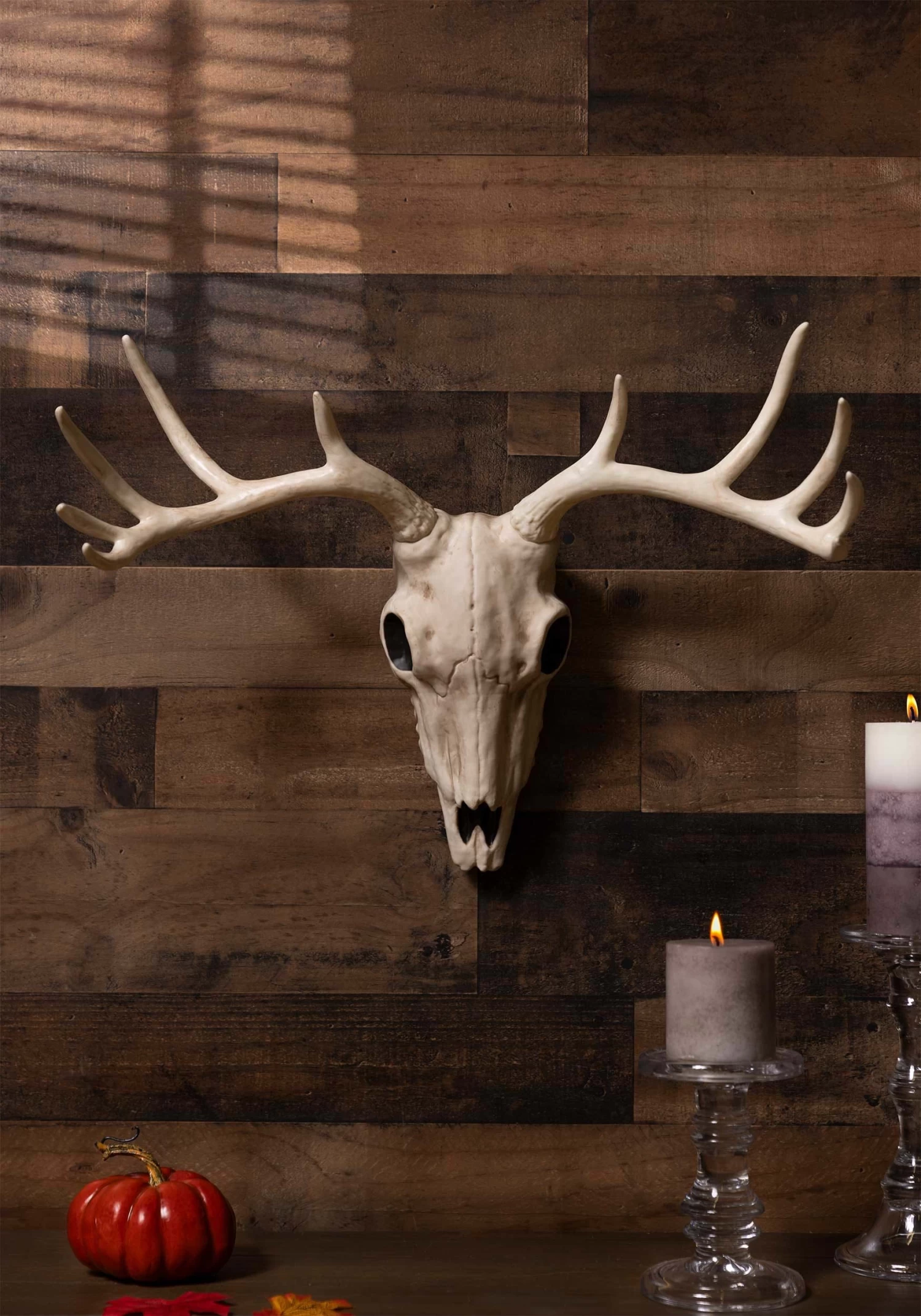 21-Inch Buck Skull Decoration 1 21-Inch Buck Skull Decoration