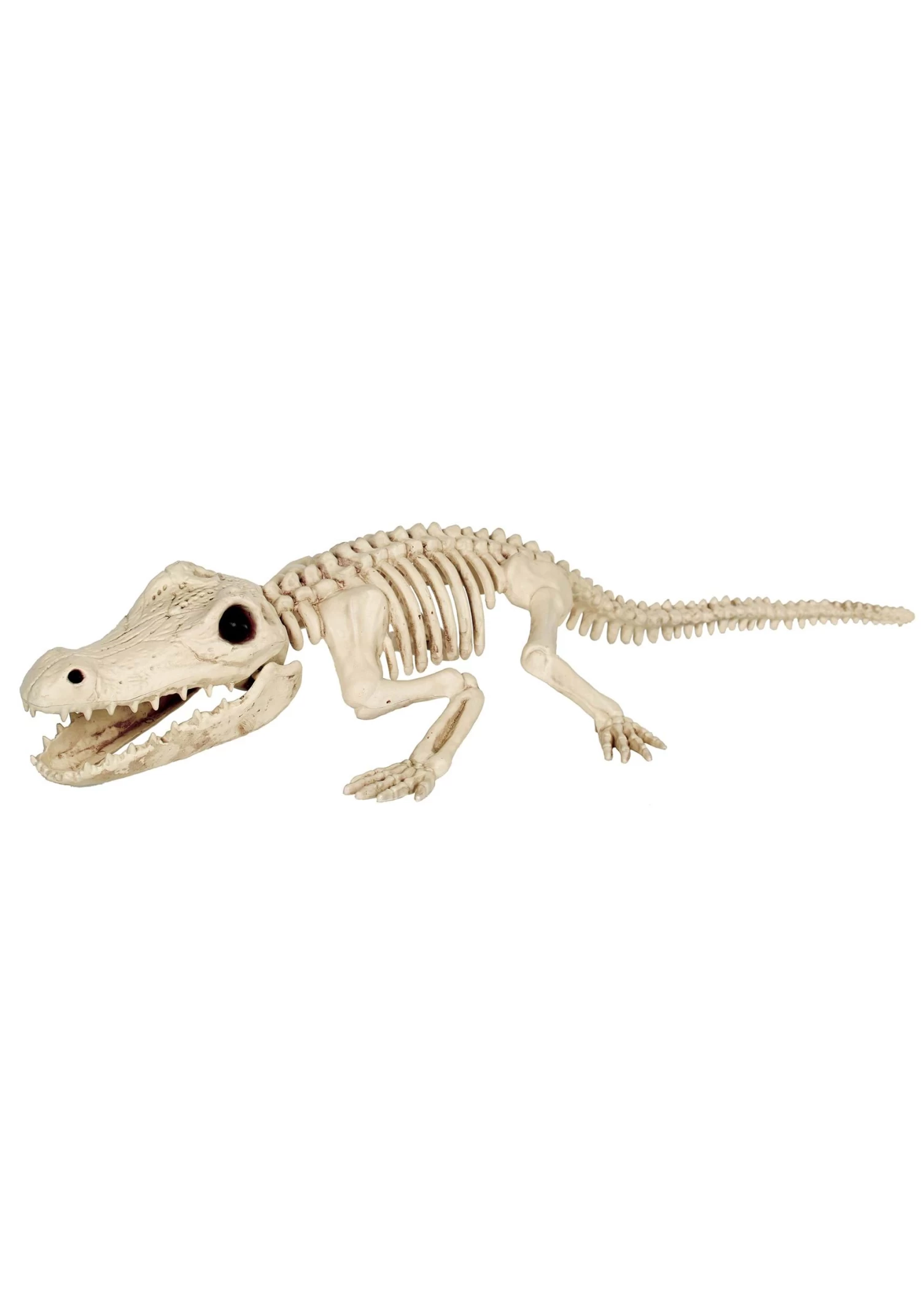 31" Crocodile Skeleton Halloween Decoration 2 31" Crocodile Skeleton Halloween Decoration - Image 2