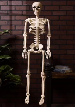 Halloween Decoration Store 33 Posable 36-Inch Skeleton Decoration