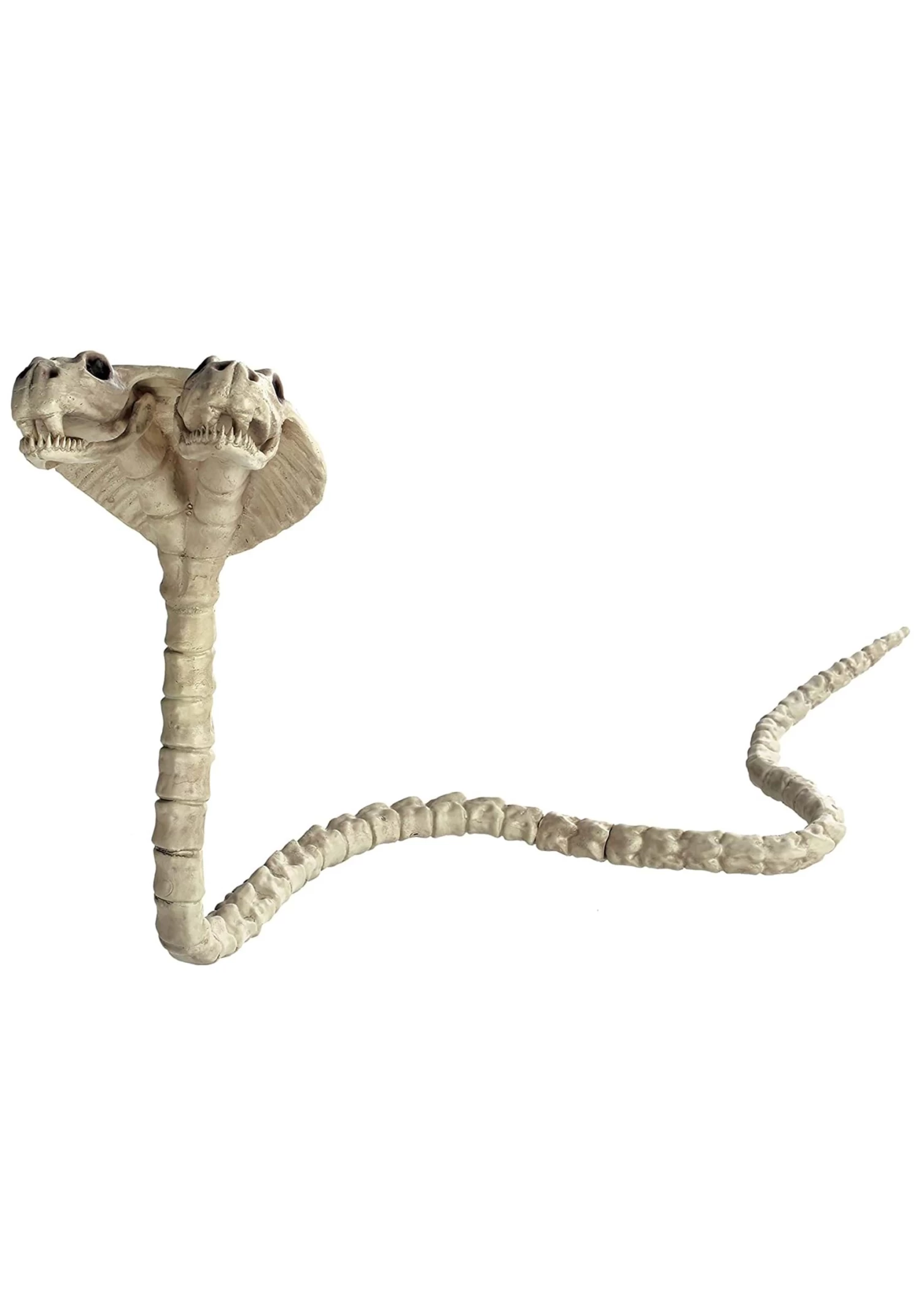 41" Double Headed Cobra Skeleton Decoration 2 41" Double Headed Cobra Skeleton Decoration - Image 2