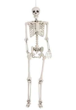 5 Foot Posable Georgie The Skeleton Life Size Halloween Decoration -Halloween Decoration Store 5 foot posable skeleton prop