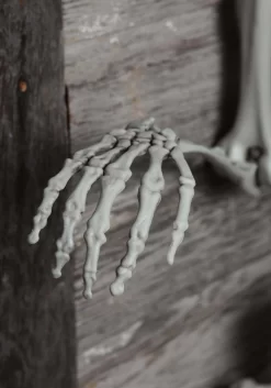 5 Foot Posable Georgie The Skeleton Life Size Halloween Decoration -Halloween Decoration Store 5 ft posable skeleton alt 3