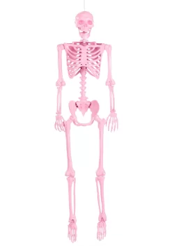 5 Foot Poseable Crazy Bones Skeleton In Pink Halloween Decoration 5 5 Foot Poseable Crazy Bones Skeleton In Pink Halloween Decoration -Halloween Decoration Store 5ft poseable crazy bones skeleton in pink decoration alt 2