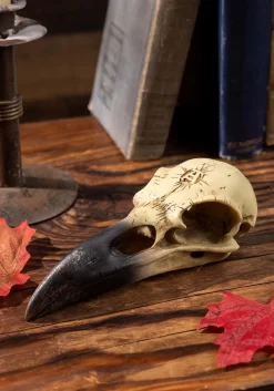 6 Inch Corvus Alchemica Skull Decoration