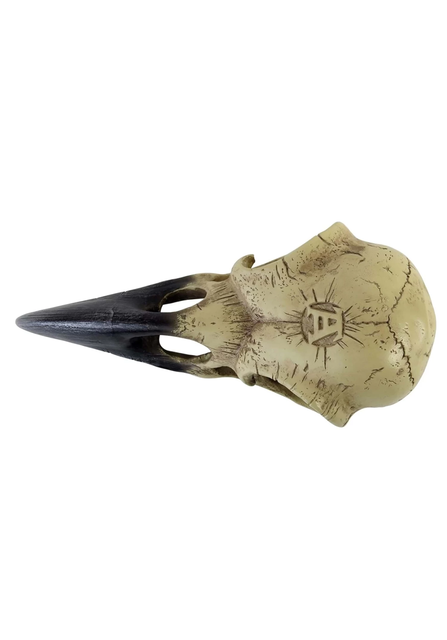 6 Inch Corvus Alchemica Skull Decoration 2 6 Inch Corvus Alchemica Skull Decoration - Image 2