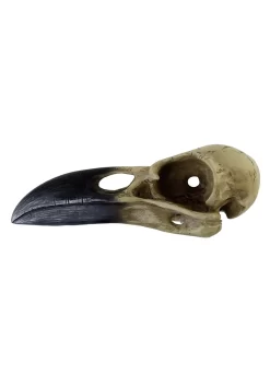 6 Inch Corvus Alchemica Skull Decoration 7 6 Inch Corvus Alchemica Skull Decoration -Halloween Decoration Store 6 inch corvus alchemia skull alt 3