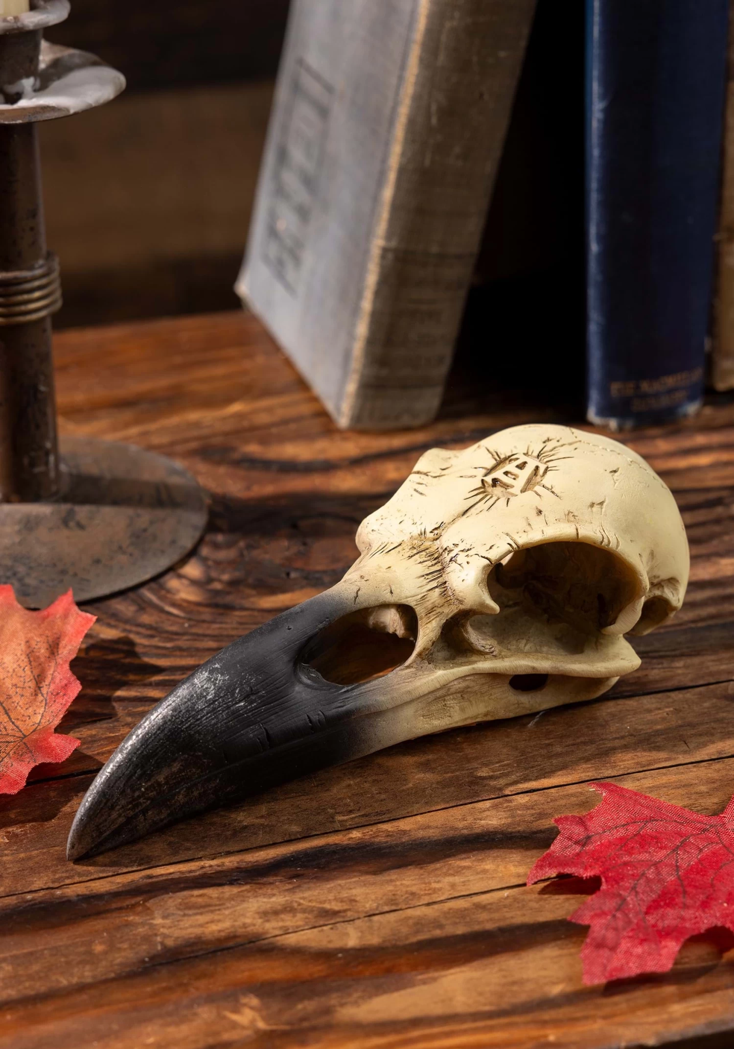 6 Inch Corvus Alchemica Skull Decoration 1 6 Inch Corvus Alchemica Skull Decoration