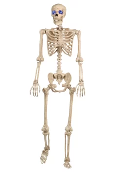 Light Up 60 Inch Skeleton Halloween Decoration -Halloween Decoration Store 60 inch light up skeleton halloween decoration alt 2