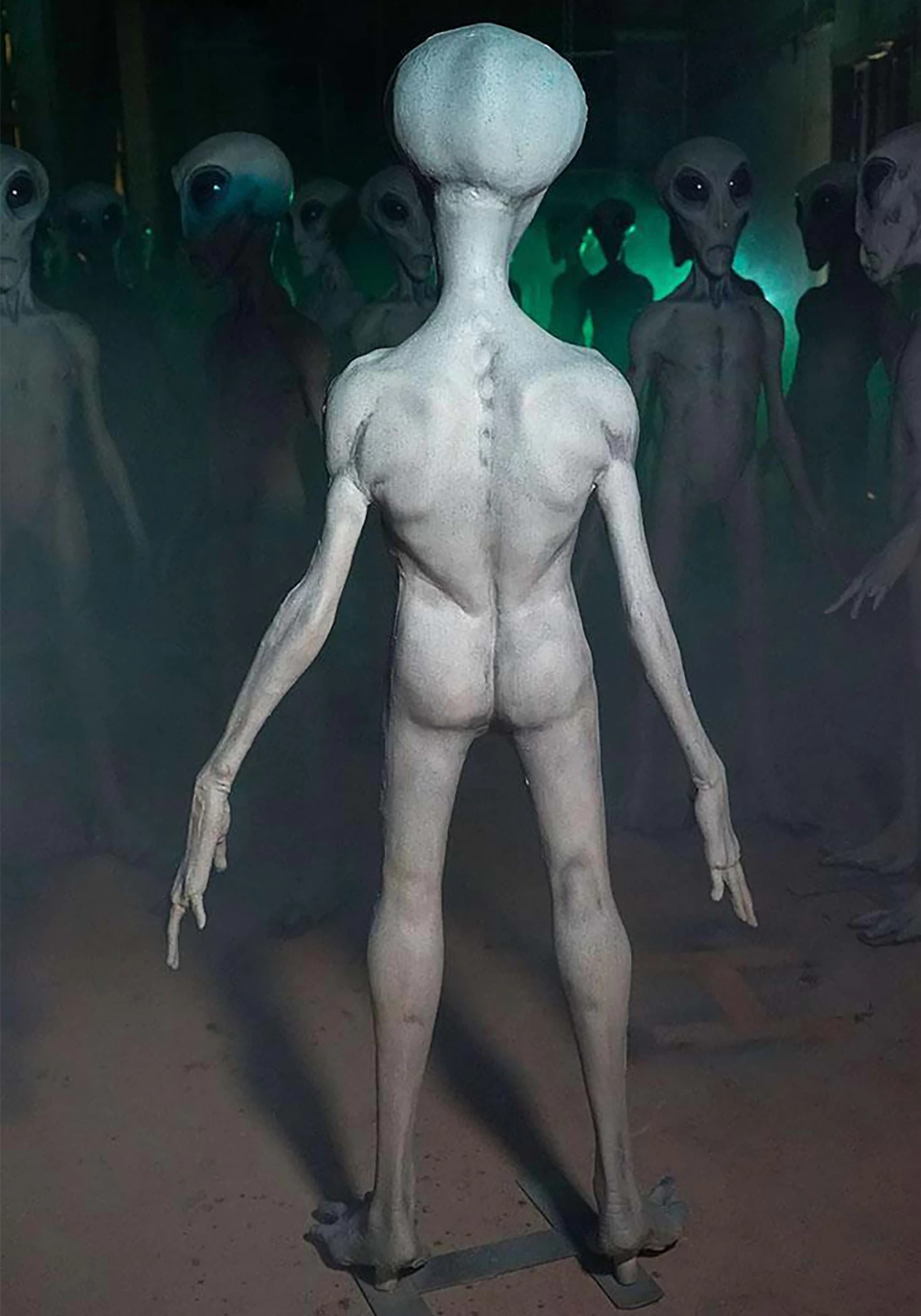 6 Foot Roswell Alien Prop 2 6 Foot Roswell Alien Prop - Image 2