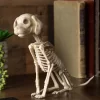 Sitting 7.5 Inch Puppy Skeleton Decoration