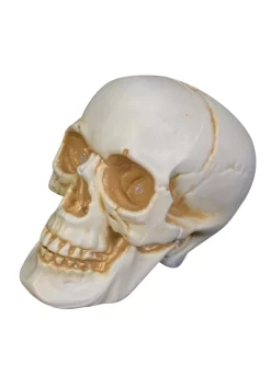 7" Realistic Talking Skull Decoration