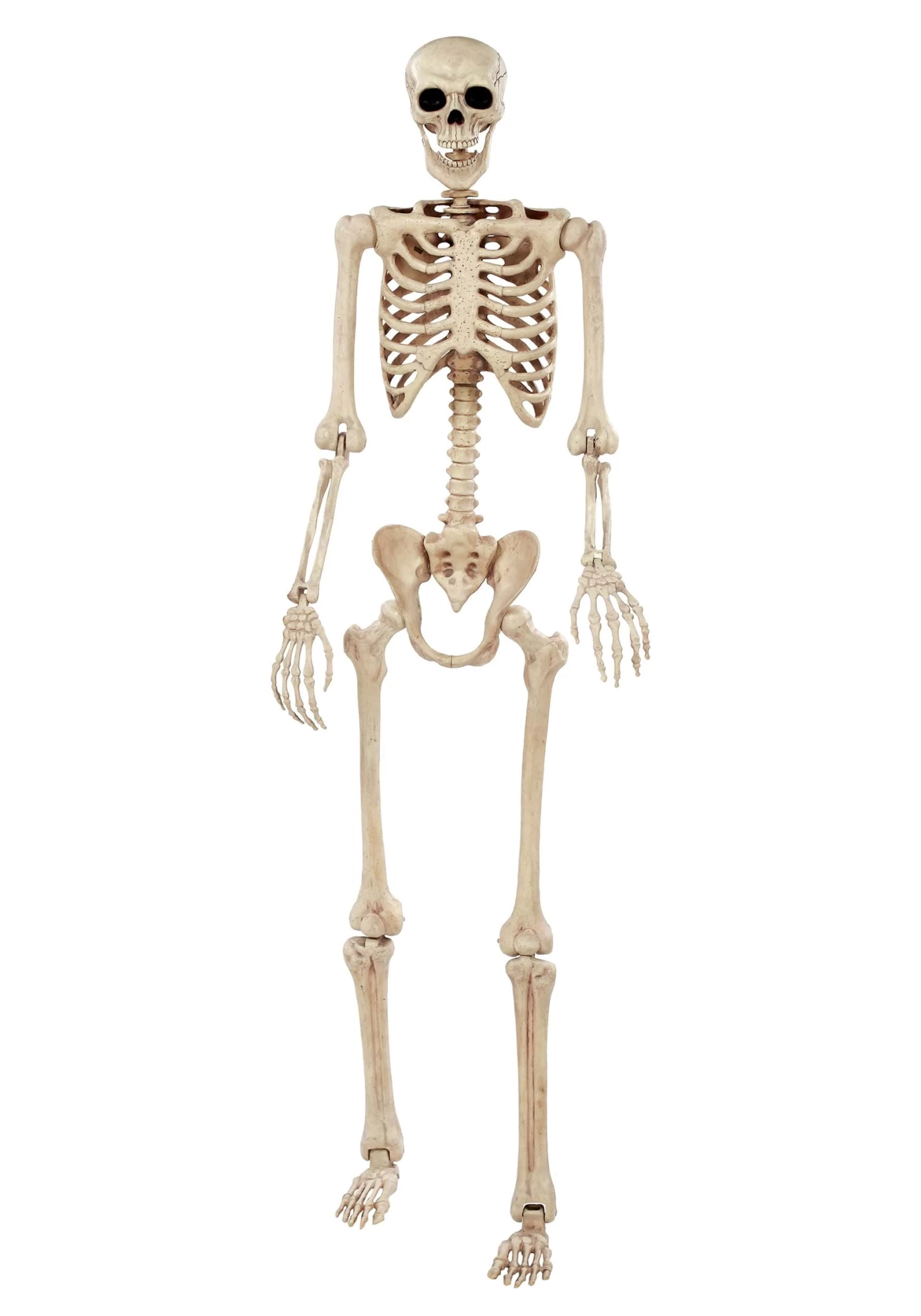 74-Inch Skeleton Halloween Decoration 7 74-Inch Skeleton Halloween Decoration - Image 7