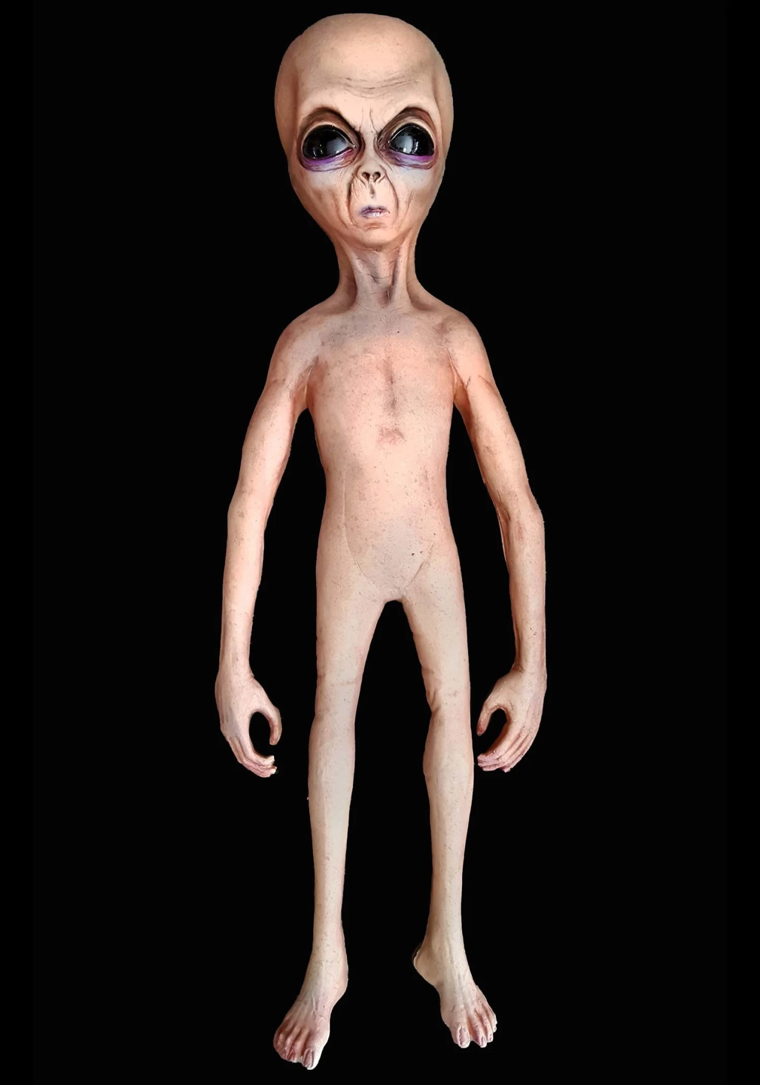 Space Alien Prop 2 Space Alien Prop - Image 2