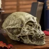 Alien Skull Spooky Prop