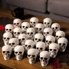 Set Of 24 Skulls Decoration