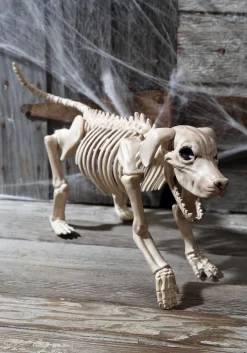 Beagle Bonez 20 Inch Skeleton Dog Decoration