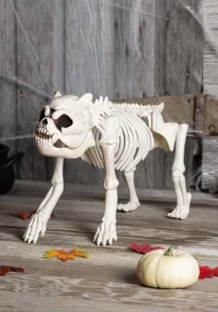 Bones The Hungry Hound Skeleton Dog
