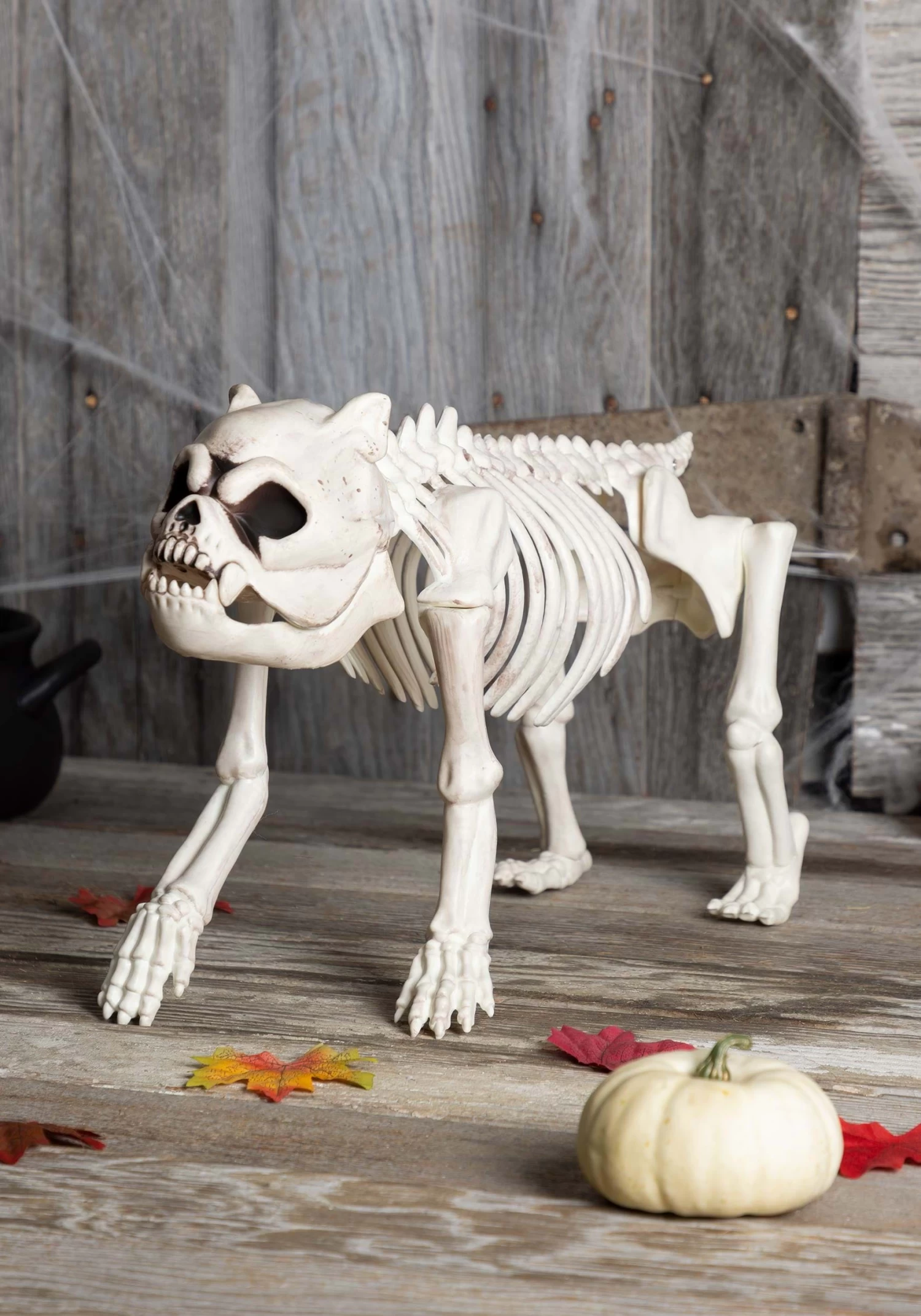 Bones The Hungry Hound Skeleton Dog 1 Bones The Hungry Hound Skeleton Dog