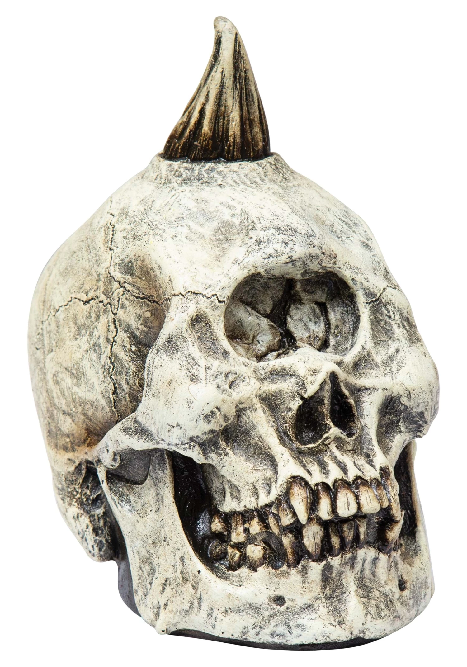 Cyclops Skull Prop 1 Cyclops Skull Prop