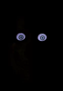 Giant 8 Foot Animated Skeleton Decoration -Halloween Decoration Store giant 8 animated skeleton decoration alt 2