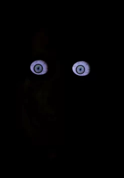 Giant 8 Foot Animated Skeleton Decoration -Halloween Decoration Store giant 8 animated skeleton decoration alt 3