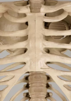 Giant 8 Foot Animated Skeleton Decoration -Halloween Decoration Store giant 8 animated skeleton decoration alt 4