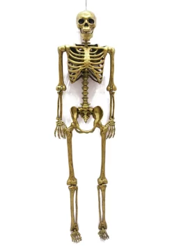 Halloween Decoration Store -Halloween Decoration Store gold life size 60 inch posable skeleton prop alt 1