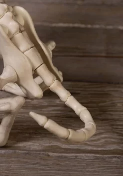 Howling Bonez 27" Animated Dog Skeleton Halloween Prop -Halloween Decoration Store howling bonez animated dog skeleton alt 4