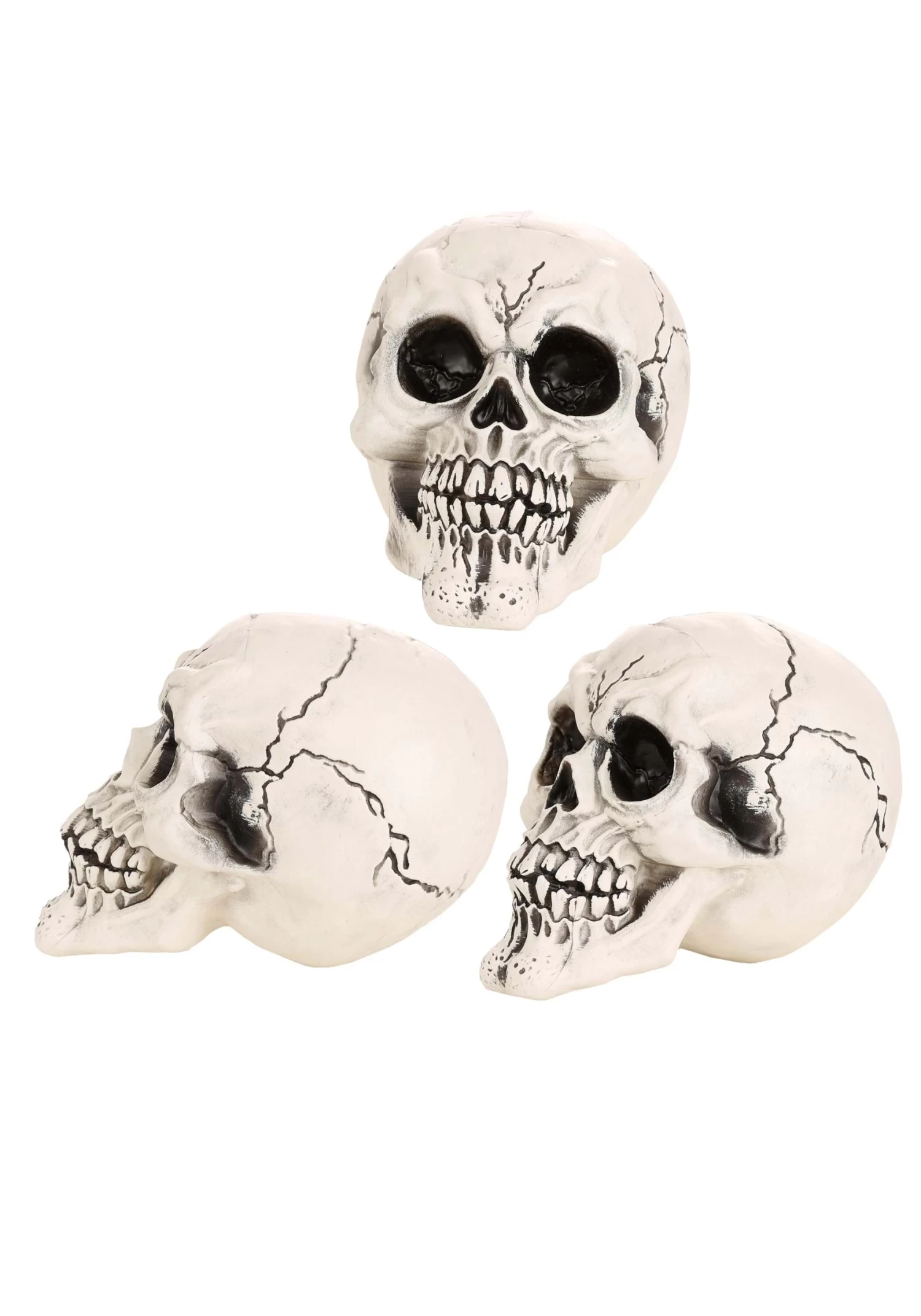 Large 12 Pack Of Skulls Decoration 4 Large 12 Pack Of Skulls Decoration - Image 4