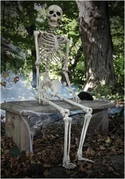 Halloween Decoration Store -Halloween Decoration Store lifesize poseable skeleton Scene