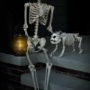Realistic Poseable Skeleton Halloween Prop