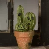 Potted Cacti O' Lantern Decoration