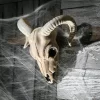 Ram Plastic Skull Prop