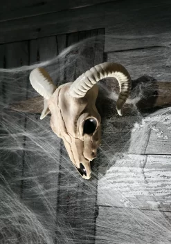 Ram Plastic Skull Prop