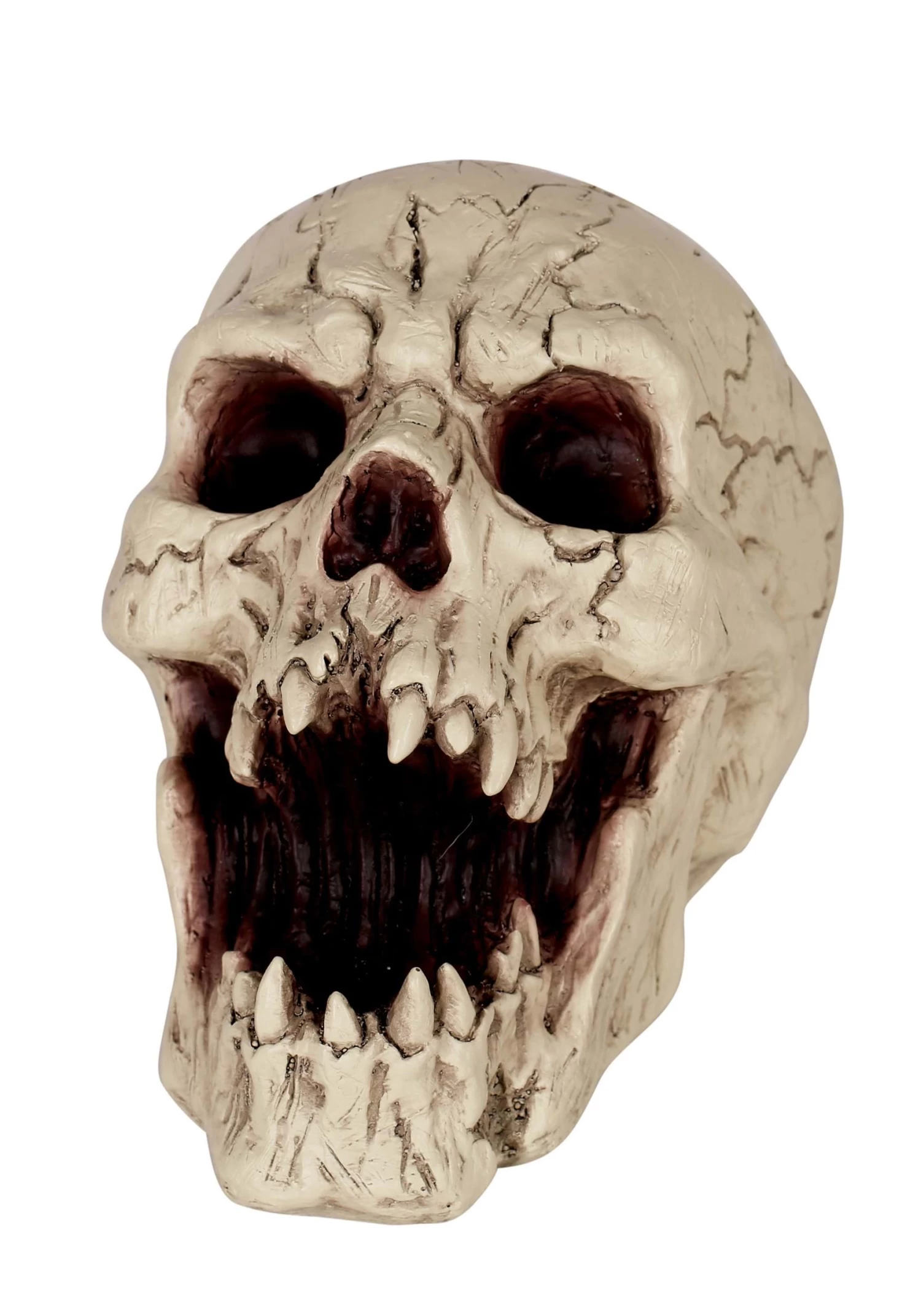 Resin Skull With Sharp Teeth Halloween Decoration 2 Resin Skull With Sharp Teeth Halloween Decoration - Image 2
