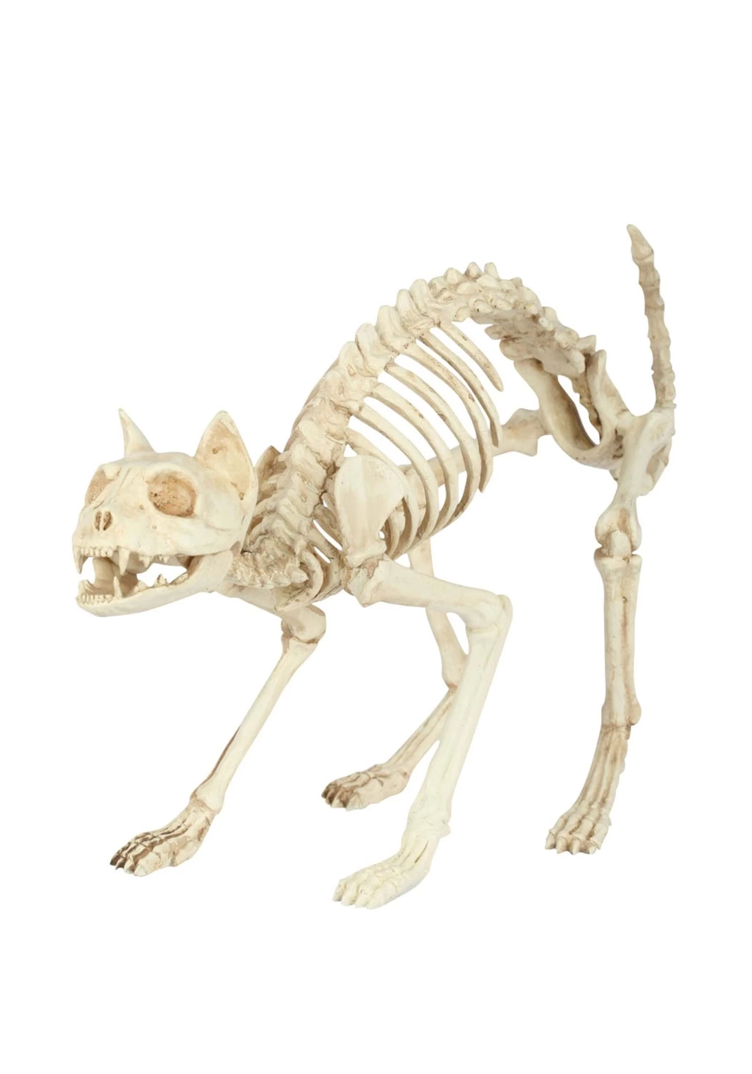 Skeleton Cat Decoration 2 Skeleton Cat Decoration - Image 2