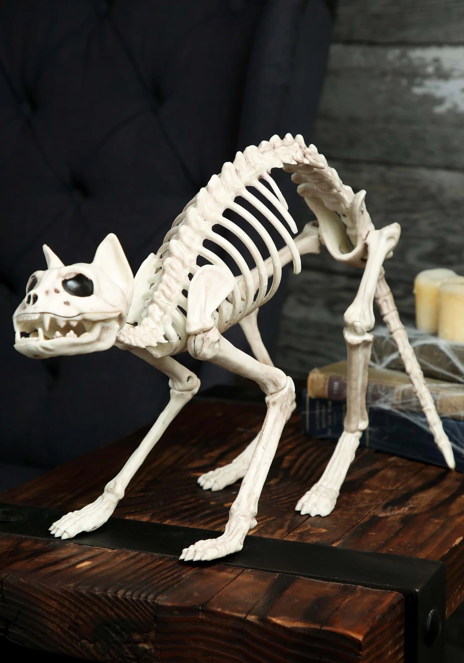Skeleton Cat Decoration 1 Skeleton Cat Decoration