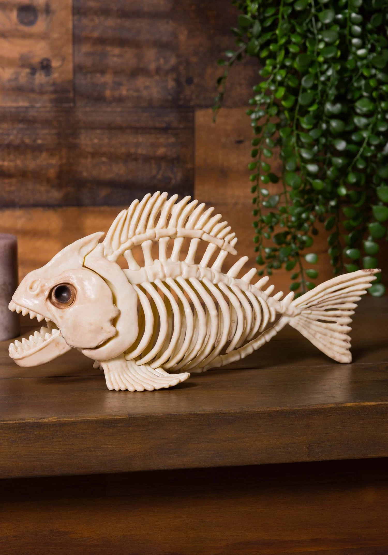 Skeleton Fish 1 Skeleton Fish