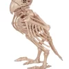 Skeleton Parrot
