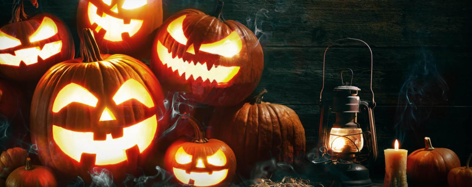 Halloween Decoration Store -Halloween Decoration Store DFGDFGDSG